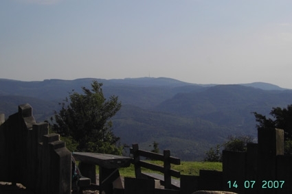 PICT0335